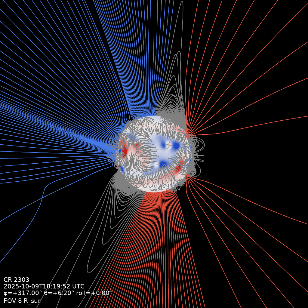 Field-line view of the COCONUT corona